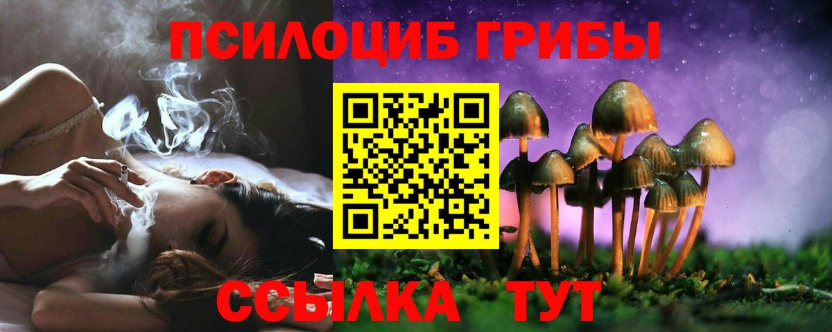 где можно купить наркотик  Галлюциногенные грибы Cubensis  Вход с VPN  Добрянка 